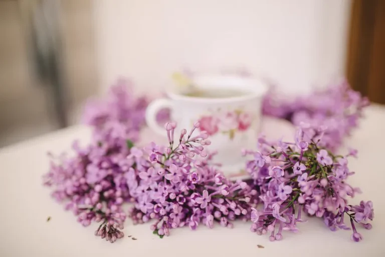 Lilac Fever